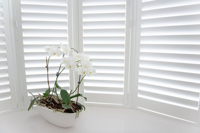 Shutter Mounting in Richmond, VA